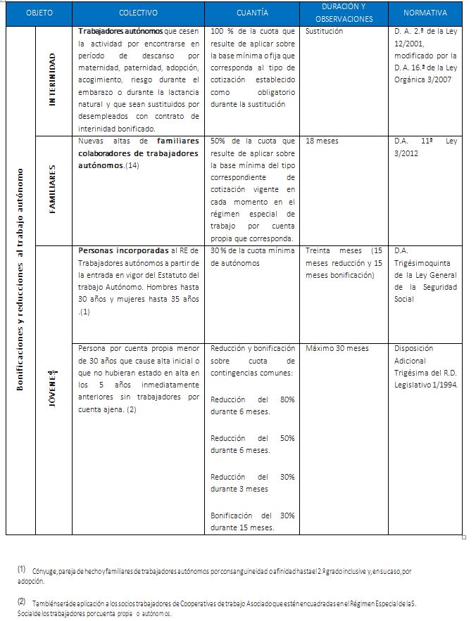 Bonificaciones autónomos 2015